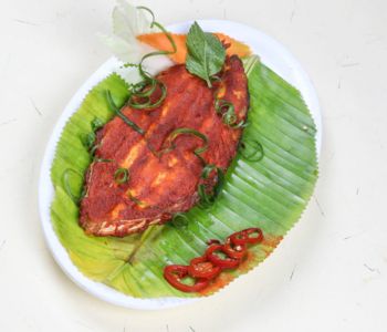 Fish Restaurant In South Mumbai